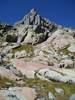 PARC DU MERCANTOUR