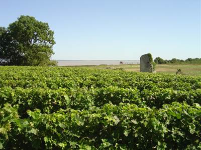 Chateau tour de castillon