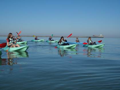 Char à voile