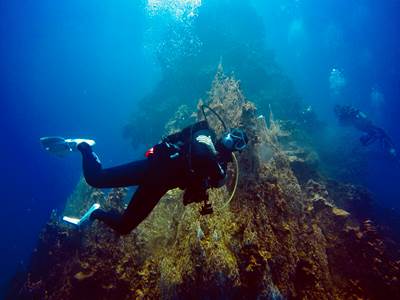 Mobula Diving